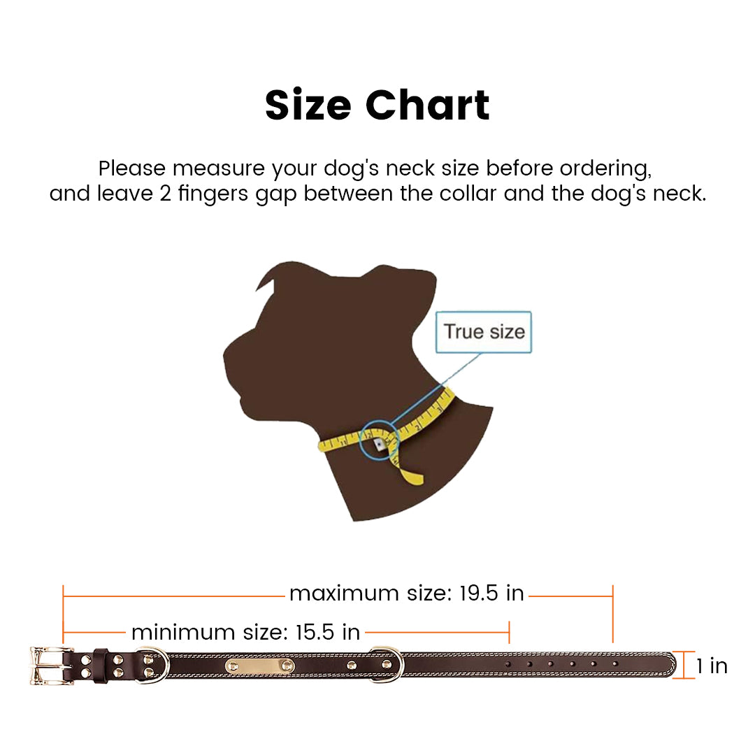 Laser Engraving Leather Dog Collar (Brown, M)